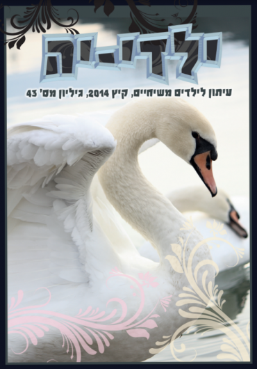 קיץ 2014